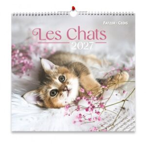 Calendrier "Les chats" grand format 2027
